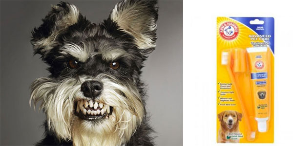 οδοντόβουρτσα για σκύλους