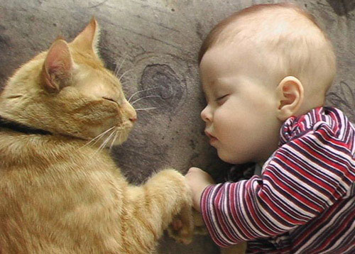μωράκι με γάτα κοιμούνται